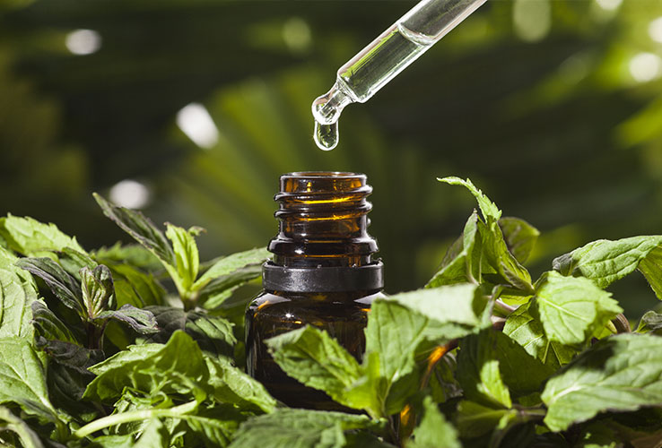peppermint leaves and essential oil