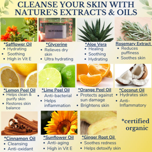 Lemon Verbena Body Wash Ingredients & Benefits From Them