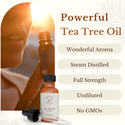 steam distilled tea tree oil